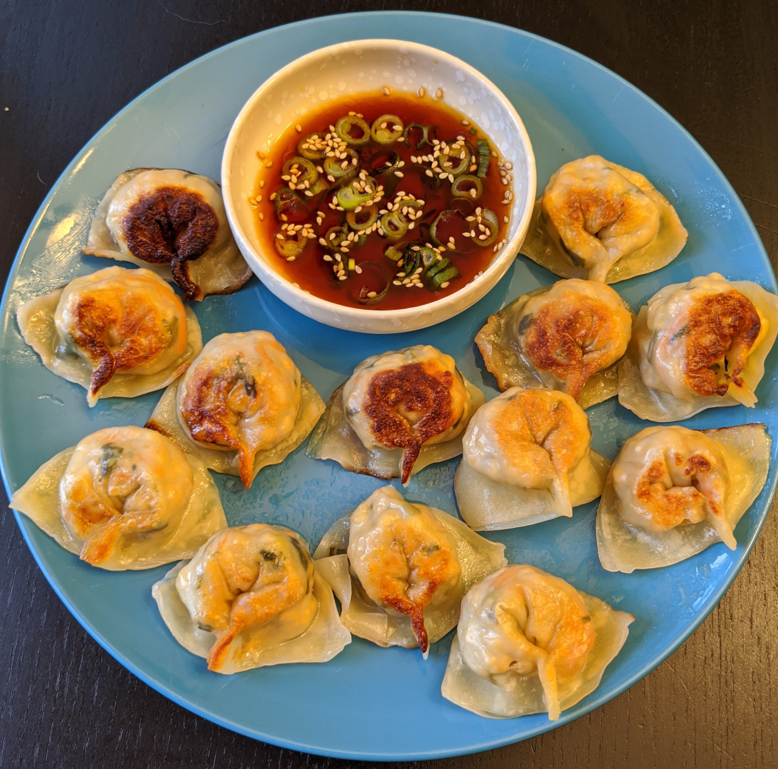 Easy Vegan Dumplings – Persian Plant Girl!